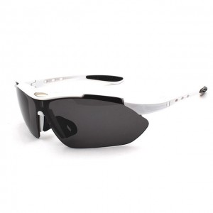 China Sports Outdoor Sunglasses with PC lenses factory and manufacturers | D&L