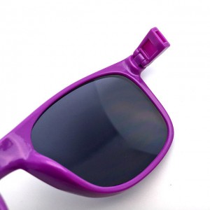 China dropshipping private label Interchangeable Sunglasses factory and manufacturers | D&L