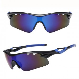 China Outdoor Windproof Sunglasses Womens Sport Sunglasses factory and manufacturers | D&L