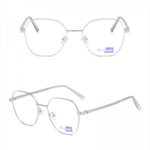 Wholesale Sunglasses Man – DLO3020 Large rimmed blue glasses – D&L