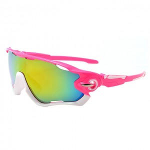 China Men's Riding Outdoor Sports Glasses factory and manufacturers | D&L