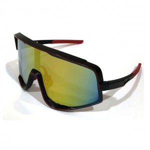 Manufactur standard Cat Eye Sunglasses Wholesale – DLX8229 Windproof Sunglasses for Riding...