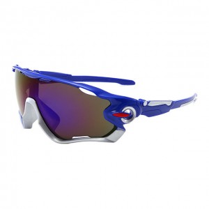 China Men's Riding Outdoor Sports Glasses factory and manufacturers | D&L