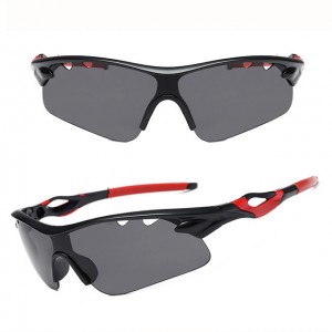 China Outdoor Windproof Sunglasses Womens Sport Sunglasses factory and manufacturers | D&L