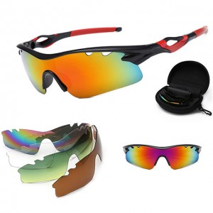 China Outdoor Windproof Sunglasses Set factory and manufacturers | D&L