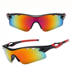 China Outdoor Windproof Sunglasses Womens Sport Sunglasses factory and manufacturers | D&L