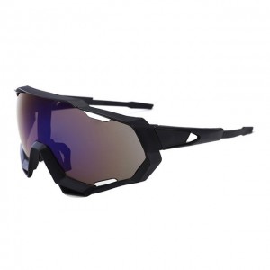 China Men's Cycling Glasses Outdoor Windproof Sunglasses factory and manufacturers | D&L