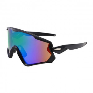 China Windproof Outdoor Sunglasses factory and manufacturers | D&L