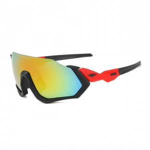 China Bicycle Outdoor Sports Glasses factory and manufacturers | D&L