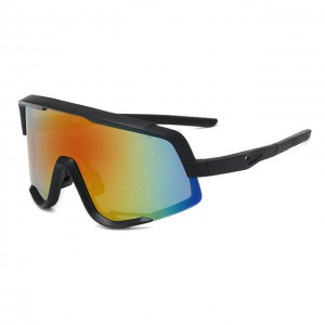 China Bicycle Outdoor Sports Sunglasses factory and manufacturers | D&L