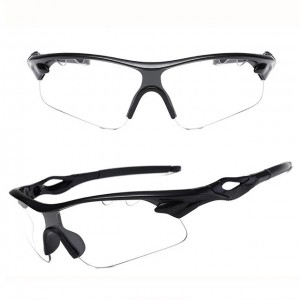China Outdoor Windproof Sunglasses Womens Sport Sunglasses factory and manufacturers | D&L