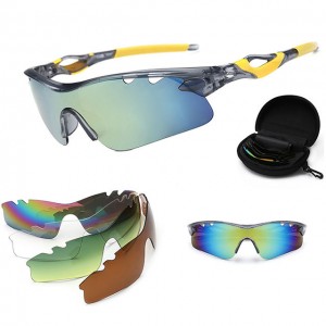 China Outdoor Windproof Sunglasses Set factory and manufacturers | D&L
