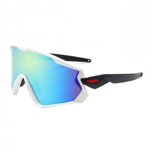 China Windproof Outdoor Sunglasses factory and manufacturers | D&L