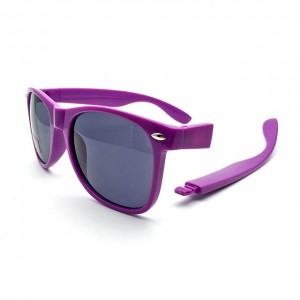 OEM manufacturer Pineapple Sunglasses – DLC9007 Interchangeable Sunglasses – D&L