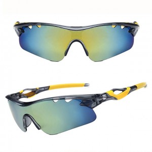 China Outdoor Windproof Sunglasses Womens Sport Sunglasses factory and manufacturers | D&L