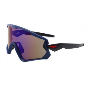 China Windproof Outdoor Sunglasses factory and manufacturers | D&L