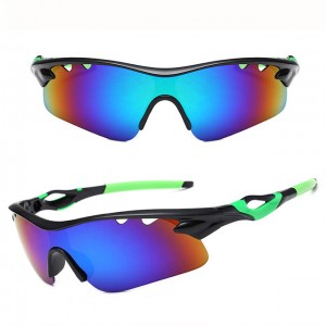 China Outdoor Windproof Sunglasses Womens Sport Sunglasses factory and manufacturers | D&L