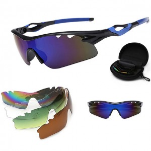 China Outdoor Windproof Sunglasses Set factory and manufacturers | D&L