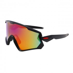 China Windproof Outdoor Sunglasses factory and manufacturers | D&L