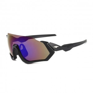 China Bicycle Outdoor Sports Glasses factory and manufacturers | D&L