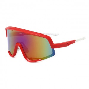 China Bicycle Outdoor Sports Sunglasses factory and manufacturers | D&L