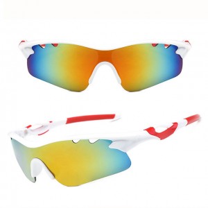 China Outdoor Windproof Sunglasses Womens Sport Sunglasses factory and manufacturers | D&L