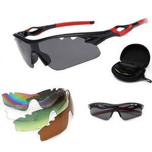 China Outdoor Windproof Sunglasses Set factory and manufacturers | D&L