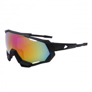China Men's Cycling Glasses Outdoor Windproof Sunglasses factory and manufacturers | D&L