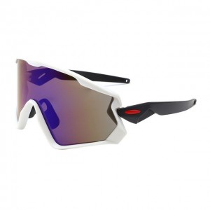 China Windproof Outdoor Sunglasses factory and manufacturers | D&L
