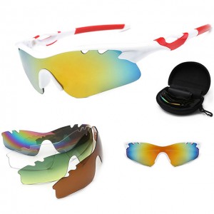 China Outdoor Windproof Sunglasses Set factory and manufacturers | D&L