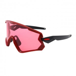 China Windproof Outdoor Sunglasses factory and manufacturers | D&L