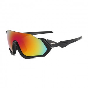 China Bicycle Outdoor Sports Glasses factory and manufacturers | D&L
