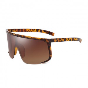 China Men's Motorcycle Riding Sunglasses factory and manufacturers | D&L