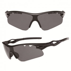 China Outdoor Windproof Sunglasses Womens Sport Sunglasses factory and manufacturers | D&L
