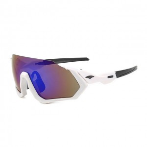 China Bicycle Outdoor Sports Glasses factory and manufacturers | D&L