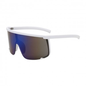 China Men's Motorcycle Riding Sunglasses factory and manufacturers | D&L