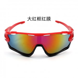 China Men's Polarized Outdoor Bicycle Sunglasses with 3pcs lenses factory and manufacturers | D&L