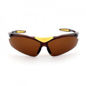 China Bicycle Outdoor Sports Sunglasses factory and manufacturers | D&L