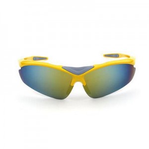China Bicycle Outdoor Sports Sunglasses factory and manufacturers | D&L