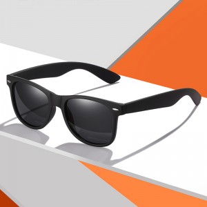 China Sunglasses for Men Stylish Black Plastic Frame Polarized Lens Manufacturer factory and manufacturers | D&L