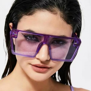China Sunglasses Style Oversized Square Frame Fashion Women factory and manufacturers | D&L