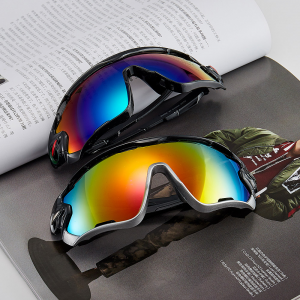 China Men's Riding Outdoor Sports Glasses factory and manufacturers | D&L