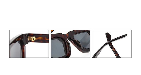Golden metal pin decoration on sunglasses temples