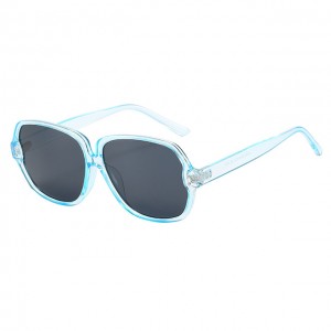 China Fashion Square sunglasses for women factory and manufacturers | D&L