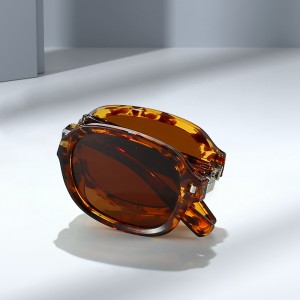 folding sunglasses (1)