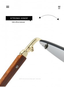 rimless sunglasses (18)
