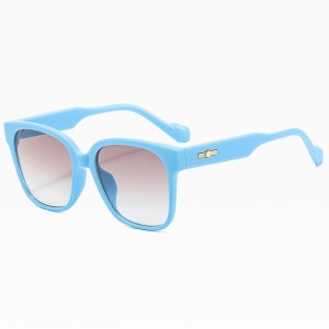 China Promotional Wholesale Big Frame Oversized Women Square Sunglasses Factory factory and manufacturers | D&L